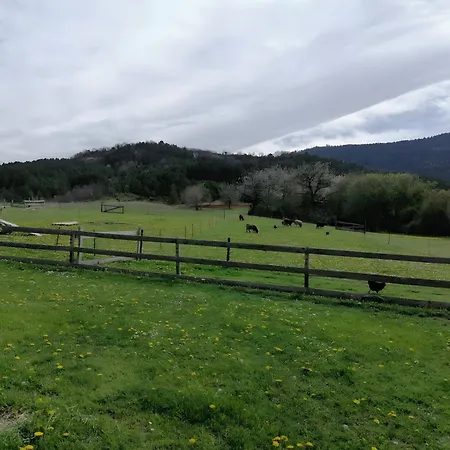 La Salamandre Casa vacanze